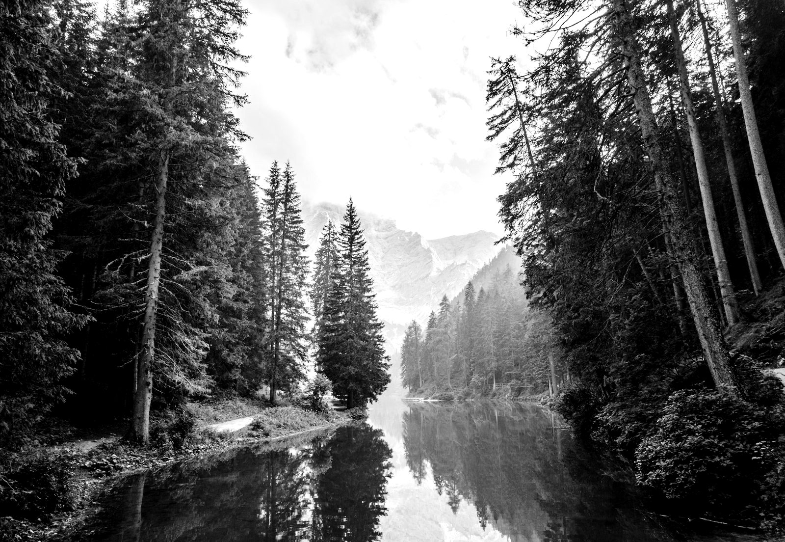 Eingereichtes Foto